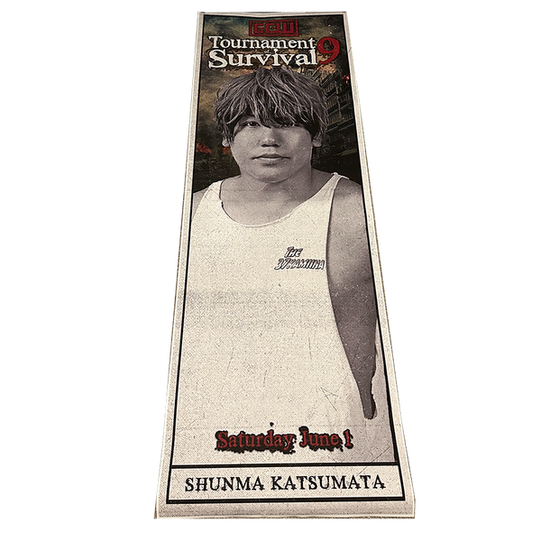 Tournament of Survival 9 Shunma Katsumata Ringside Banner