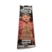 Cage of Survival 3 Effy Ringside Banner