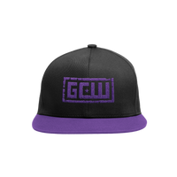 Logo Snapback Purple/Black